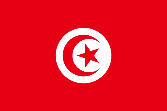 突尼斯阿拉伯语翻译